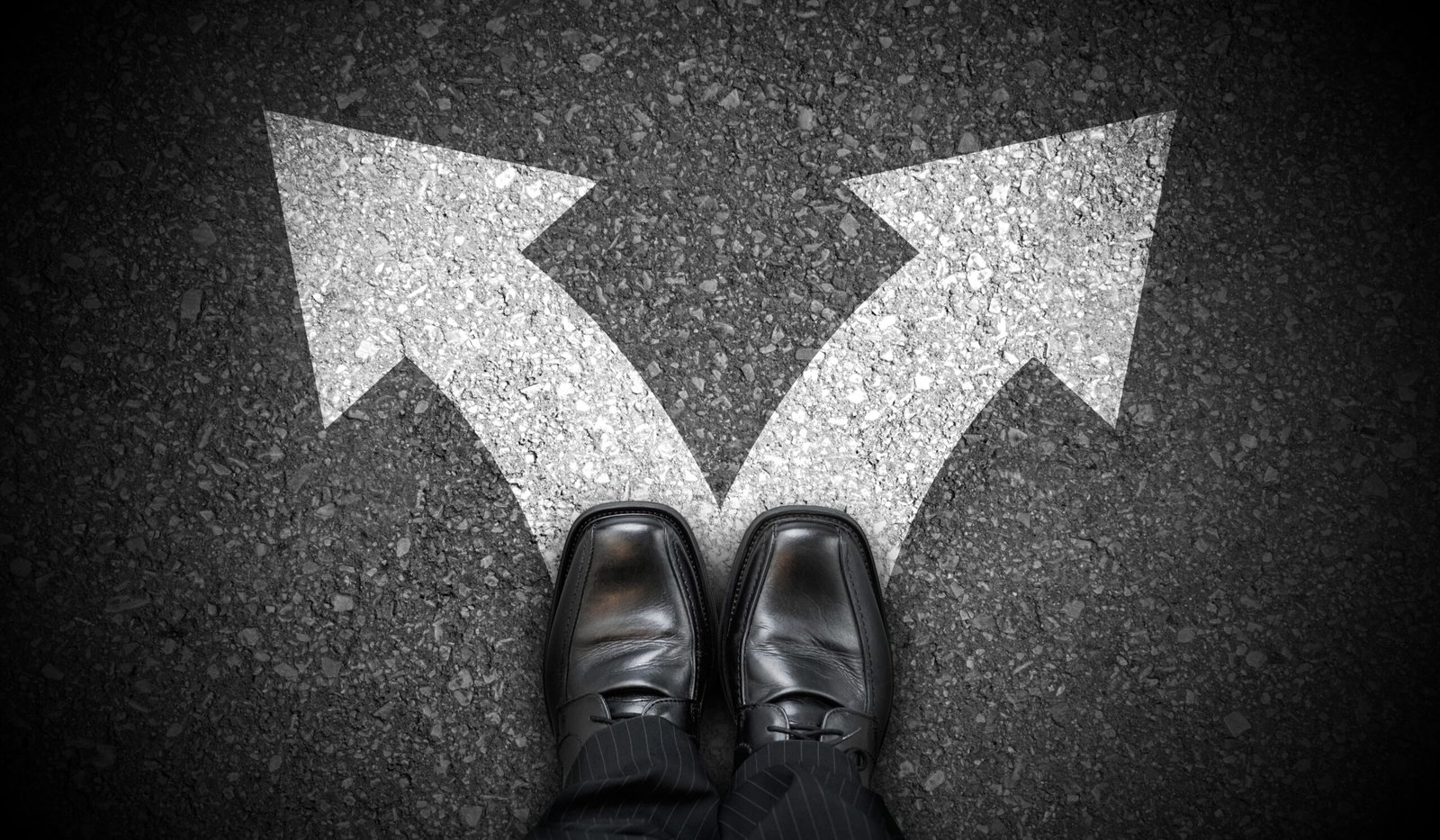 Two directional arrows representing the choice between TipRanks and TradingView